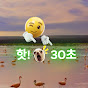 핫 쇼츠