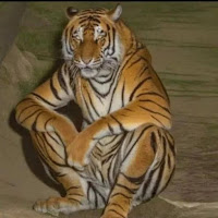 Profile Picture of 100kdes