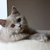 あの頃の僕らは