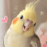 3DWjHvKB-dE-channel-avatar-Happy Tiels Zone

