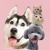 犬と猫の親バカ日記　ハスキー&トイプー&スコティッシュ