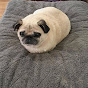 PUG LOVER logo