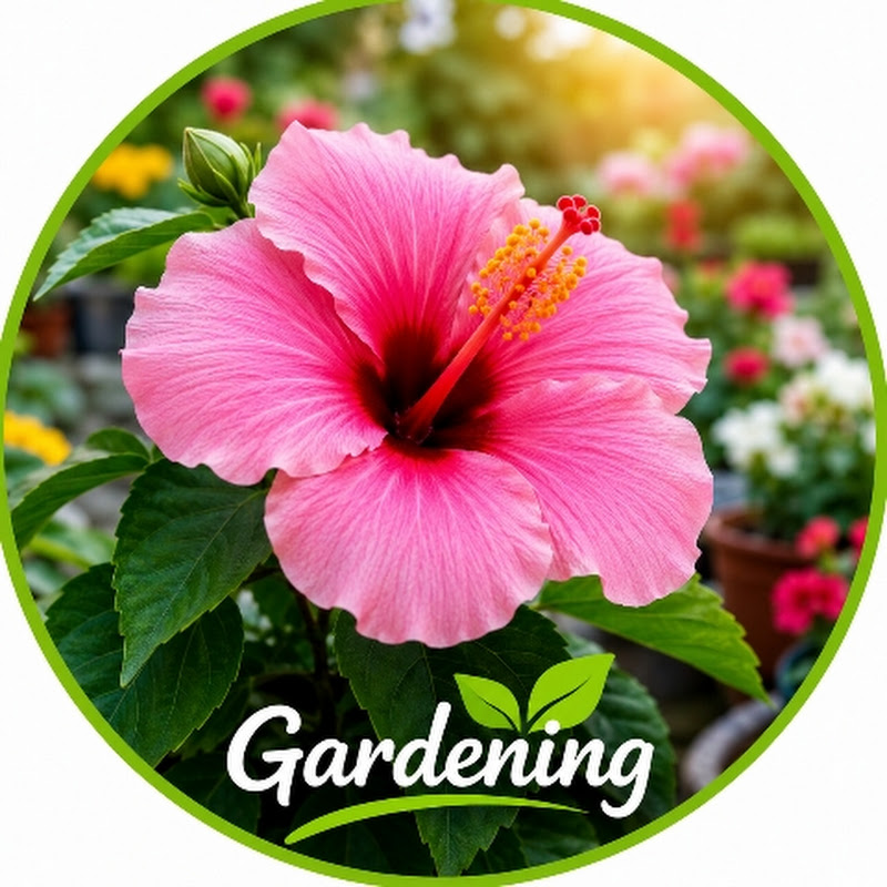 R A Garden 