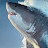 @avery_loves_sharks3222