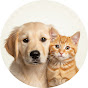 WarmPetPet logo