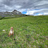 Tx0yb2PgS8g-channel-avatar-EXPLORE WITH RIA