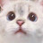 @김째리-e4s