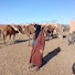 pg25SWZmM_A-channel-avatar-  Abderrahim Sehrawi