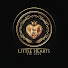 _Vqx-PMmFYM-channel-avatar-Little Hearts, Big Love and Mr DrPhillips 2