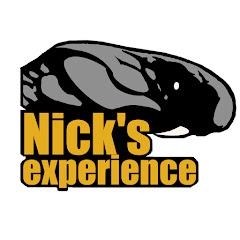 Nick's experience