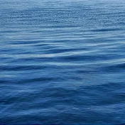 QUEEN CURE MARINESNOW