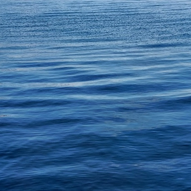 QUEEN CURE MARINESNOW