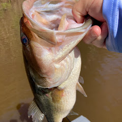B Jones bass fishing and custom baits