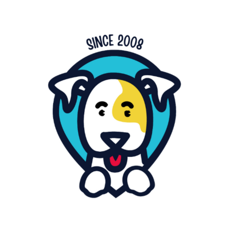 Puppies For Sale Local Breeders