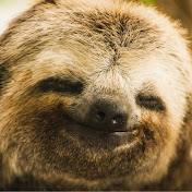 The Running Sloth