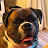 @willwilson2502 Avatar