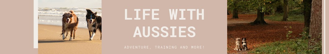 LifeWithAussies Avatar channel YouTube 