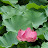 @바다-e5d4o