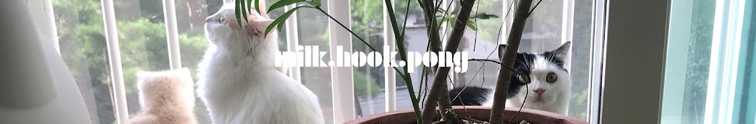 ë°€í›„í ìº£í•˜ìš°ìŠ¤ [milk.hook.pong] Avatar de canal de YouTube