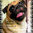 @sathyamaggi6607 Avatar
