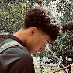 Adrian Roman