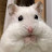 @user-bj7sg7io3s