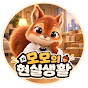 모모의 현실생활