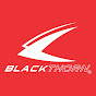 Blackthorn World logo