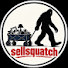 NG_hG0WJRQA-channel-avatar-sellsquatch