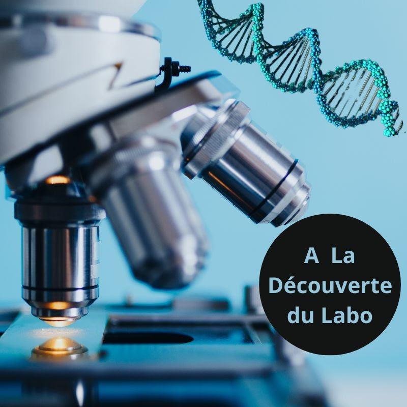 A La Découverte Du Laboratoire