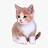 @TheCat0327