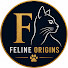 qZ_JPVgWE24-channel-avatar-Feline Origins
