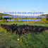 M2_cUA5ghsw-channel-avatar-Grazing Creation
