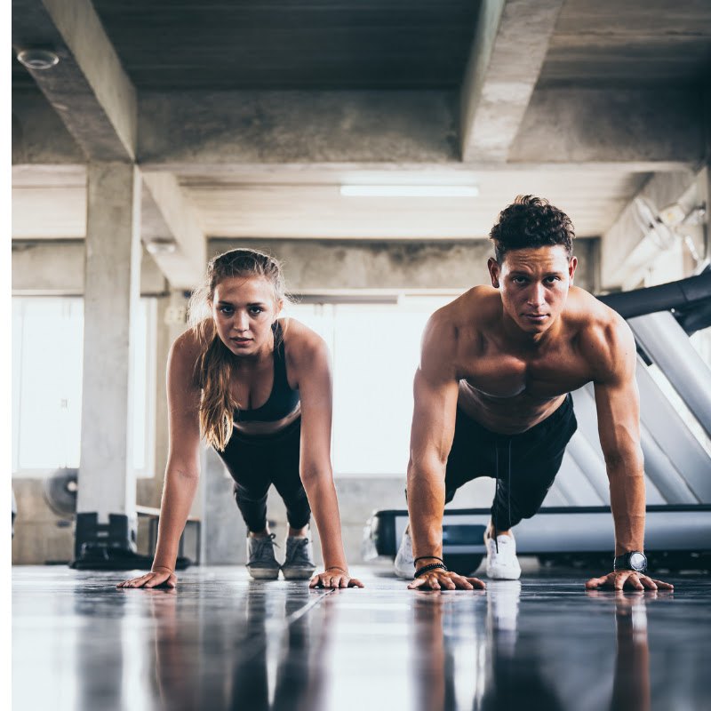  "FitFusion