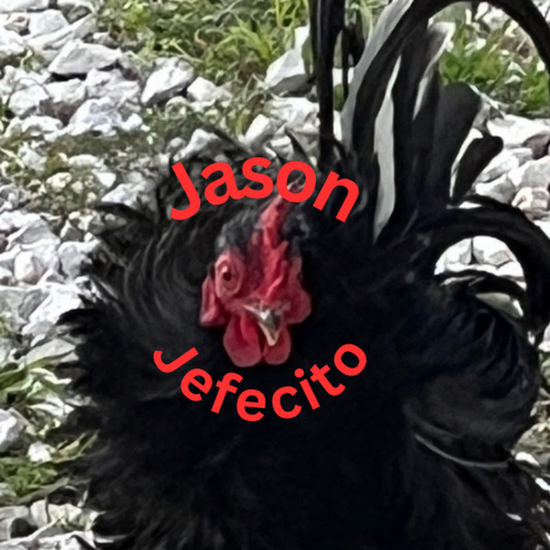 Jason Jefecito