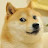 @doge_69