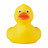 Mikeyduck