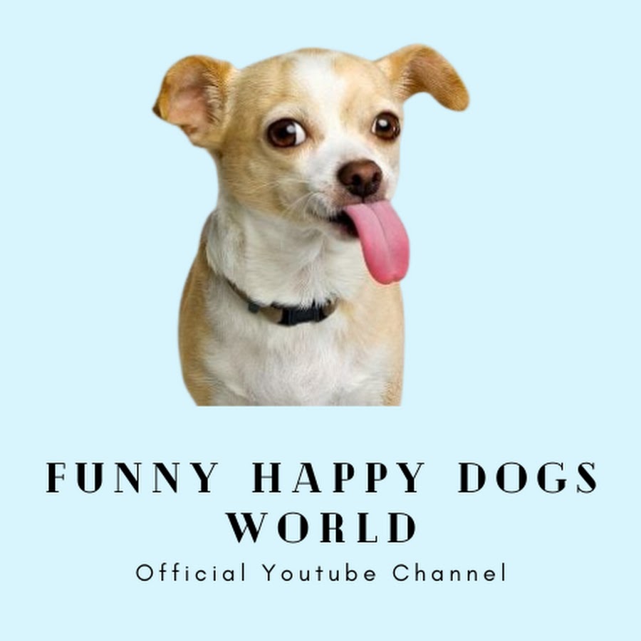 Funny Crazy Dogs World - YouTube