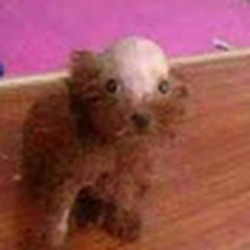 Hire Lixus — Comedy (Sketches, Stand-up, Commentary) YouTube creator for sponsorships