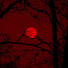 5LX_3HmH5Sk-channel-avatar-~redmoon~