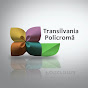 Transilvania Policromă TVR Cluj_TVR 3