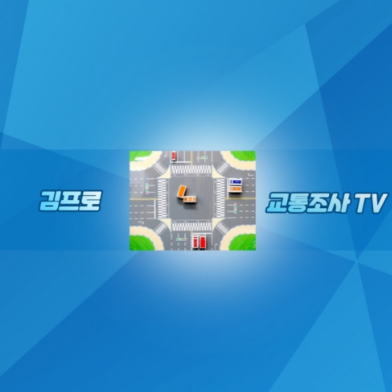 김프로 교통사고 TV 