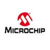 What could Microchip Technology buy with $100 thousand?