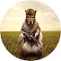 F2hngxjscv8-channel-avatar-American Squirrel Hunter