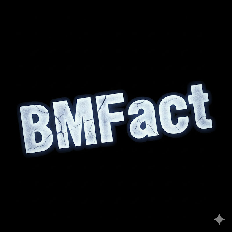BMFact