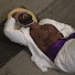 Eu97PLBvAv8-channel-avatar-LilPanClips