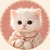 Shii-chan AI Cat | AI猫しーちゃん