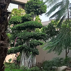Deshraj ai vilog