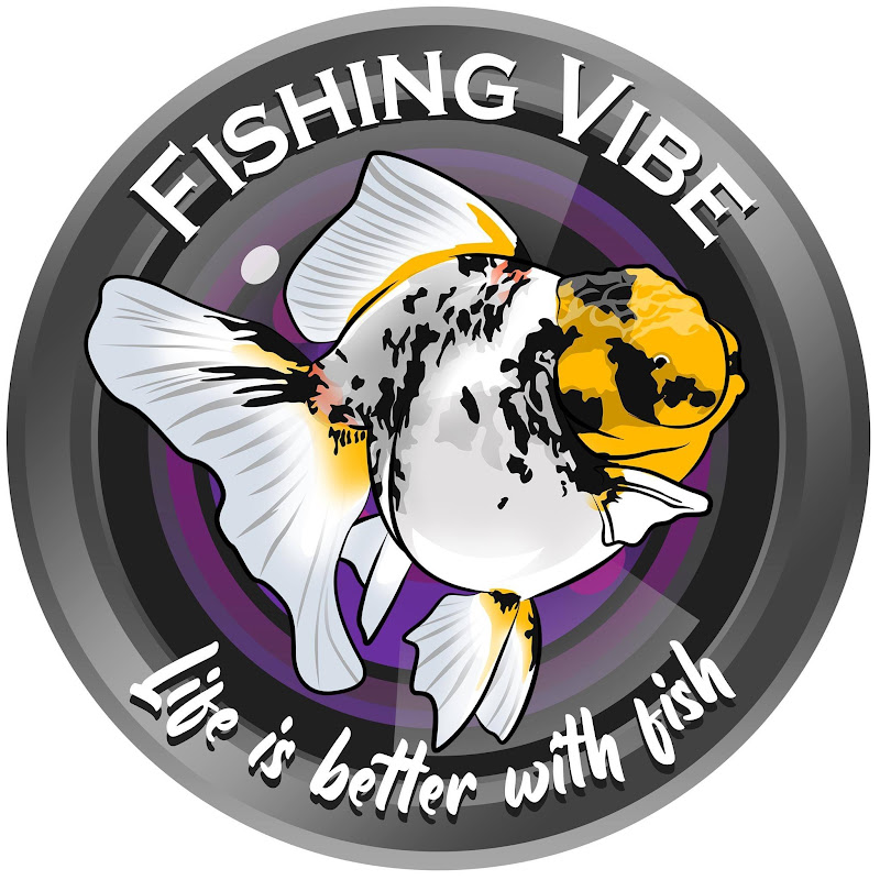 FISHING VIBE