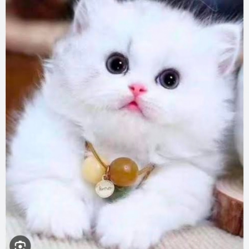 Sameera with tasty treat